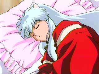 iy_inu161.jpg